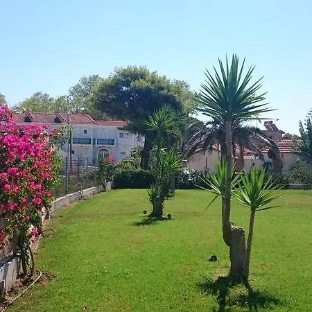 Appartement Zoi Tsilivi (Zakynthos)